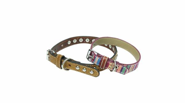  Collier de chien 